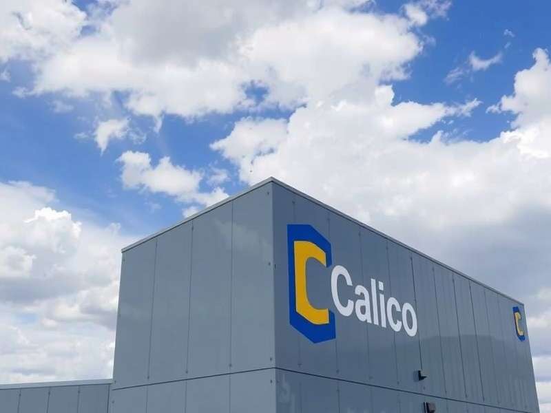 Textile manufacturing process at Calico Processors