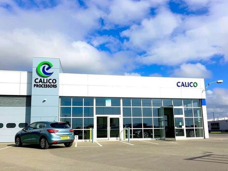 OEKO-TEX Standard 100