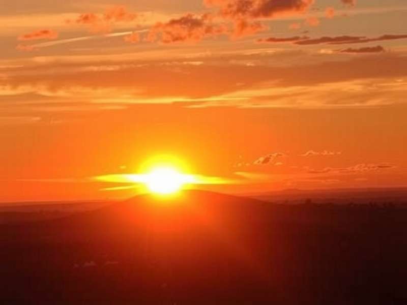 Sustainable and organic fabrics